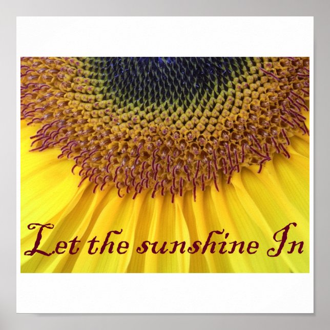 Sunflower Poster (Front)