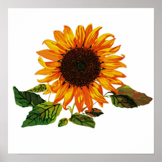 Sunflower Poster