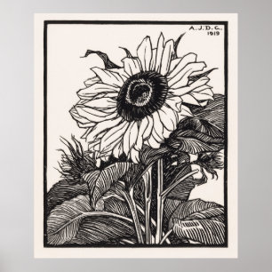 Sunflower Poster