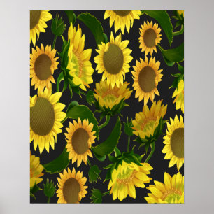 Sunflower Poster