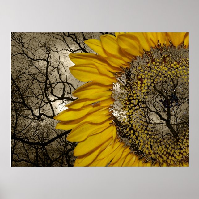 sunflower poster (Front)