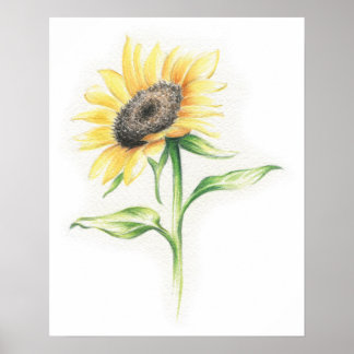 Sunflower Poster