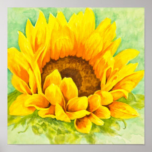 Sunflower Poster