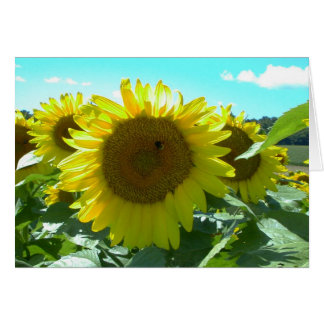 Sunflower Power--Card