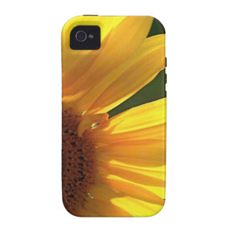 Sunflower Power! iPhone 4 Case