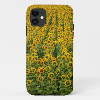 Sunflower Power iPhone Case