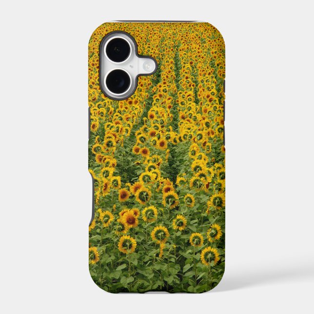Sunflower Power iPhone Case (Back)