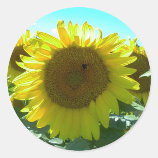 Sunflower Power-Sticker Classic Round Sticker