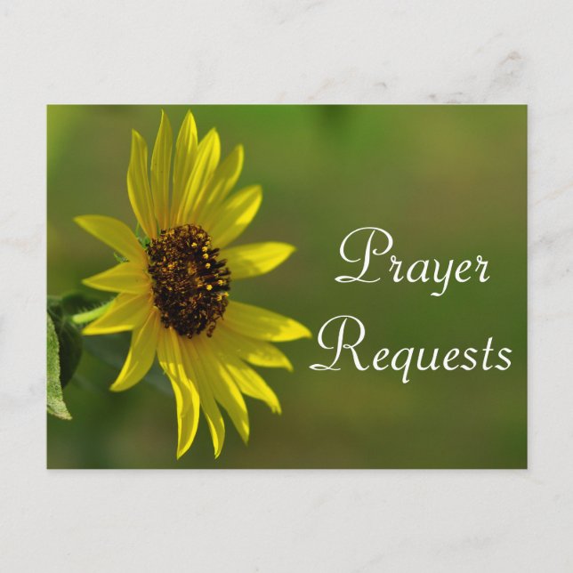 Sunflower Prayer Request Card (Front)