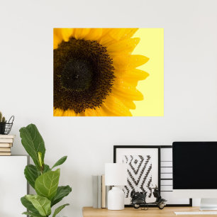 Sunflower Print
