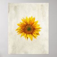 Sunflower print. Rustic wall art. Country flower