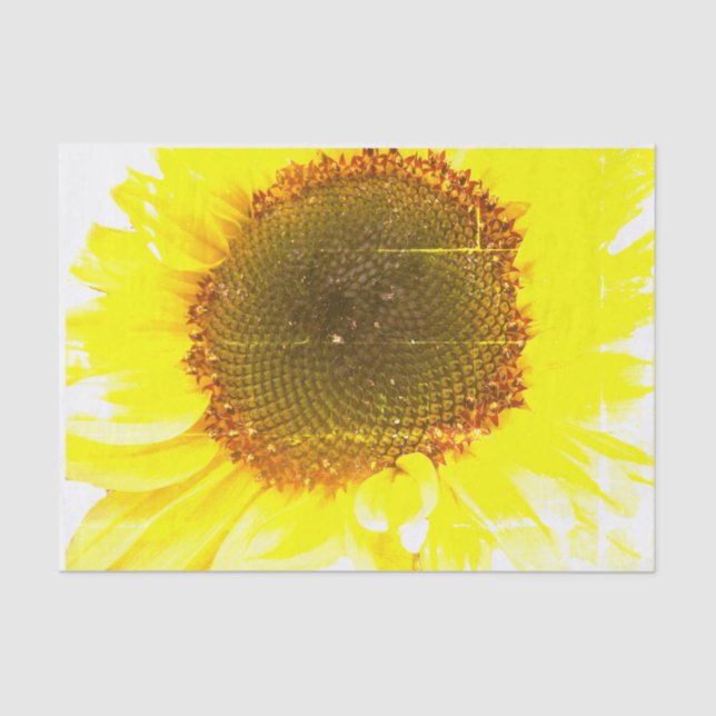 Sunflower Print Tissue Paper (Front)