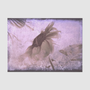 Sunflower Purple Sepia Vintage Antique Grunge Tissue Paper