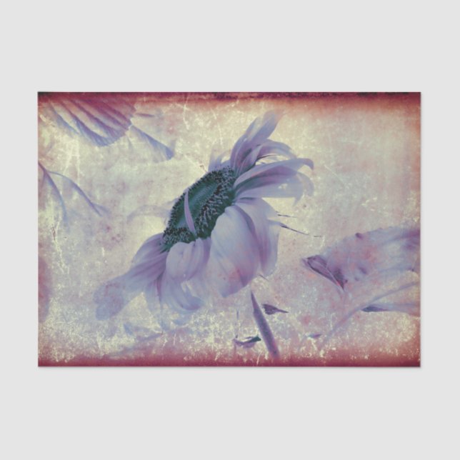 Sunflower Purple Sepia Vintage Antique Texture Tissue Paper (Front)