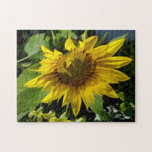 Sunflower puzzle