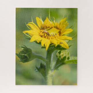 Sunflower Puzzle