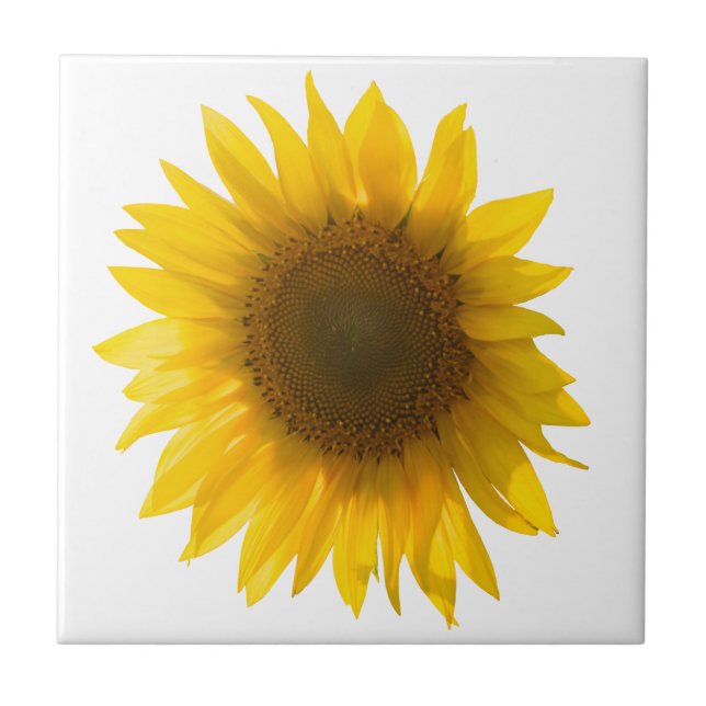 Sunflower quote "flowers are happiness" tile (Front)