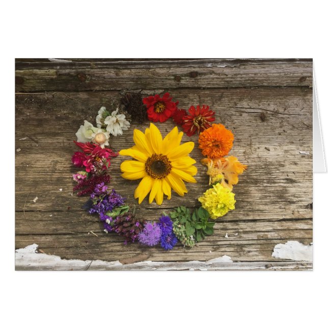 Sunflower rainbow card (Front Horizontal)