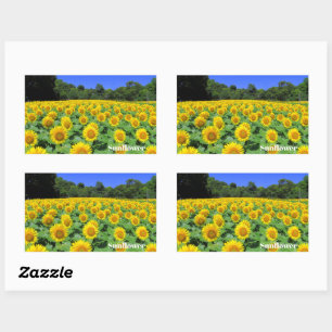 Sunflower:Rectangle Seal
