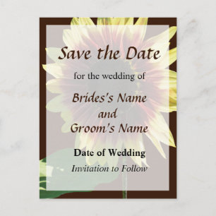 Sunflower Ring of Fire Save the Date Announcement Postcard