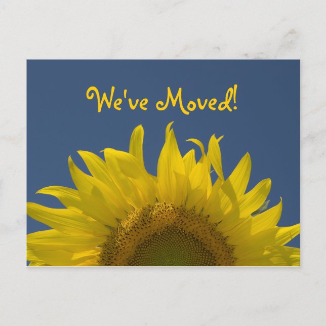 Sunflower Rising Change of Address Announcement (Front)