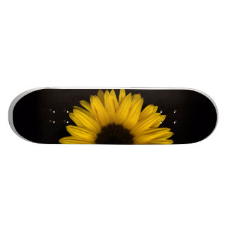 Sunflower Rising Skateboard Pro