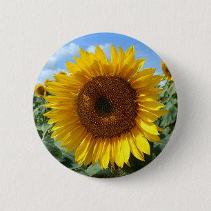 Sunflower Round Badge