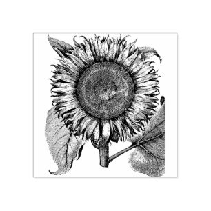 Sunflower  rubber stamp