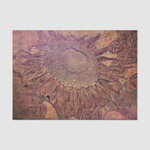 Sunflower Rust Orange Brown Vintage Sketch Art Tissue Paper