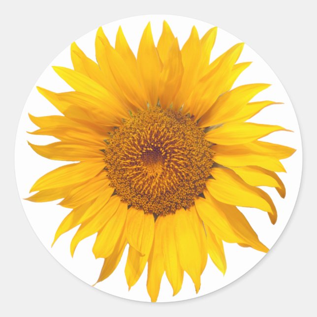 Sunflower Rustic Floral Wedding Favour Classic Round Sticker (Front)