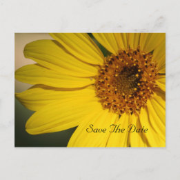 Sunflower Save The Date Postcard