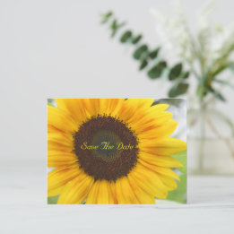 Sunflower Save The Date Postcard