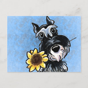 Sunflower Schnauzer Off-Leash Art™ Postcard