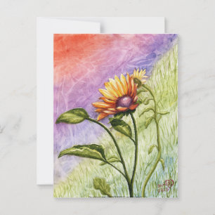 Sunflower Secrets at Sunset Postcard