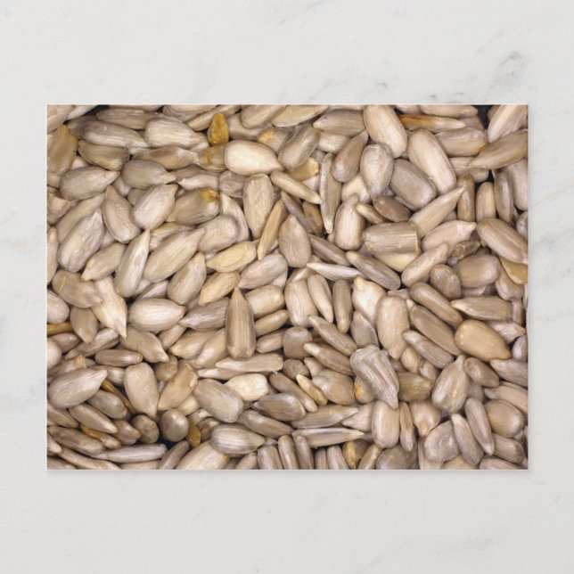 Sunflower seeds postcard (Front)