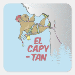 Sunflower seeds square sticker