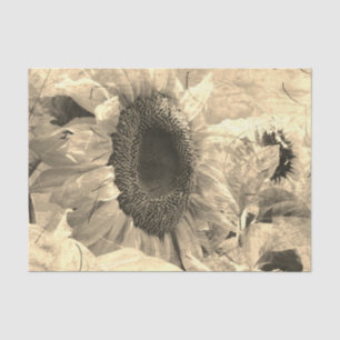Sunflower Sepia Beautiful Country Floral Design Tissue Paper