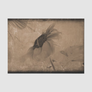 Sunflower Sepia Brown Vintage Antique Old Texture Tissue Paper