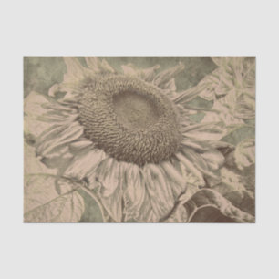 Sunflower Sepia Tone Brown Art Texture Decoupage Tissue Paper