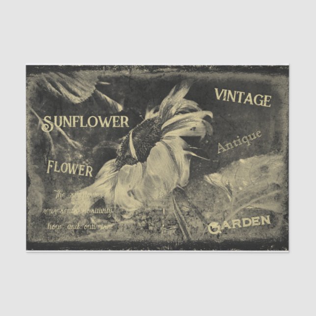 Sunflower Sepia Vintage Antique Ephemera Texture Tissue Paper (Front)