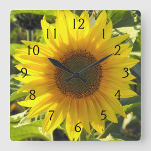 Sunflower Serenade Square Wall Clock