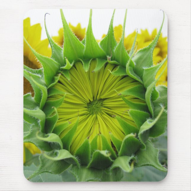 Sunflower Series Mouse Mat (Front)