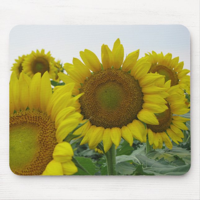 Sunflower series mouse mat (Front)