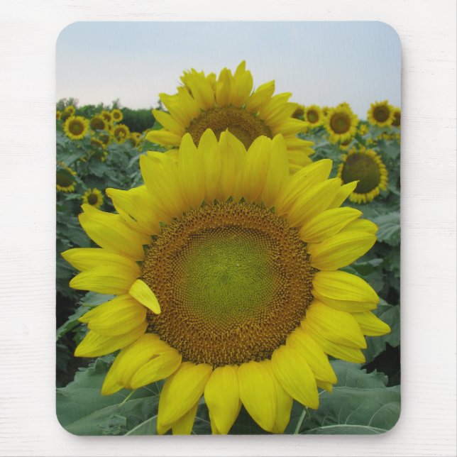 Sunflower Series Mouse Mat (Front)
