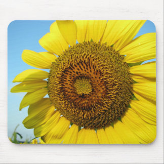 Sunflower series mouse mat
