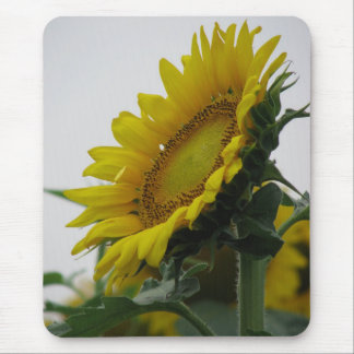 Sunflower Series Mouse Mat
