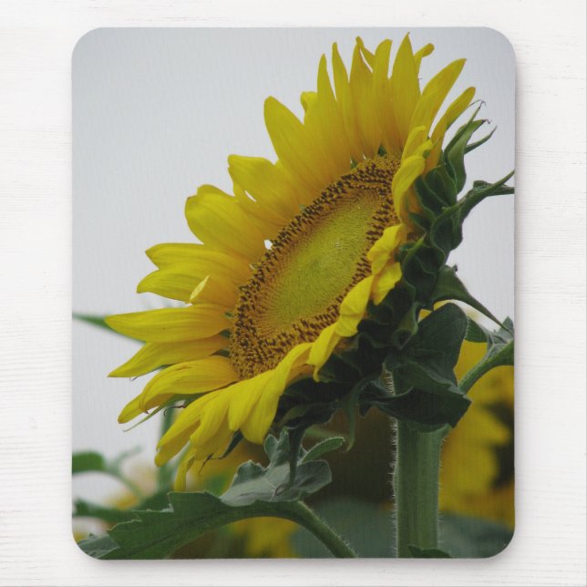 Sunflower Series Mouse Mat (Front)