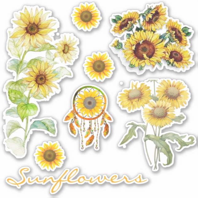 Sunflower set of (Front)