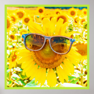 Sunflower Shades Chic Poster