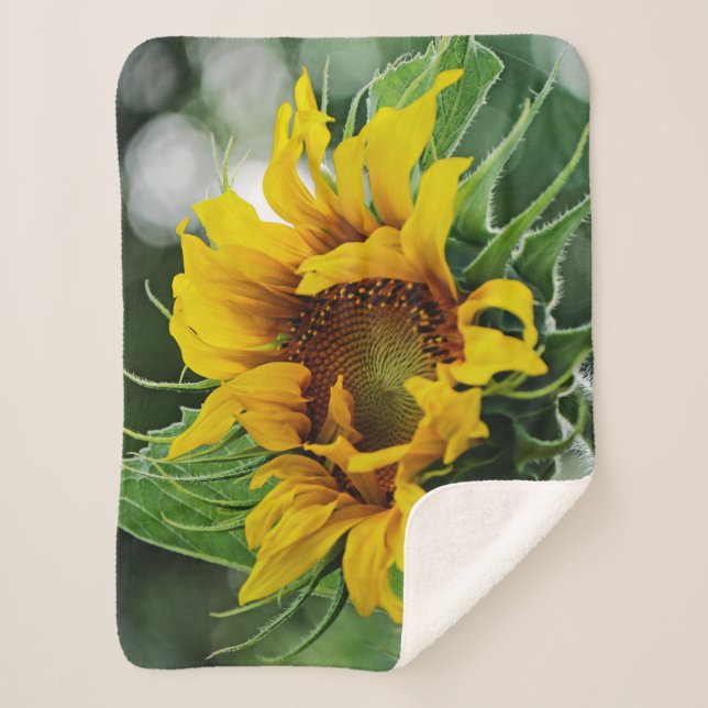Sunflower Sherpa Blanket (Front)